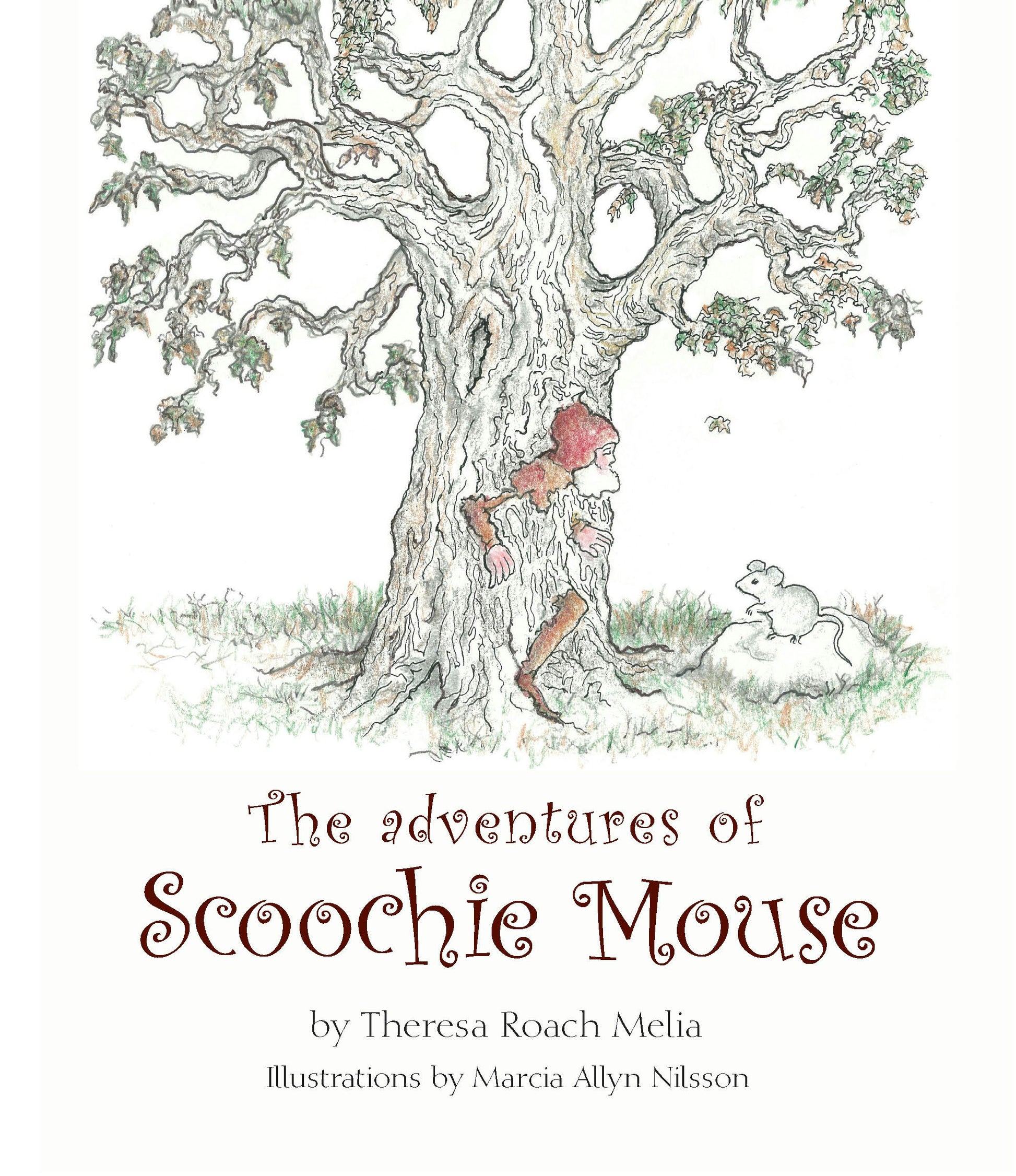 Cover image for The Adventures of Scoochie Mouse, isbn: 9781584209911