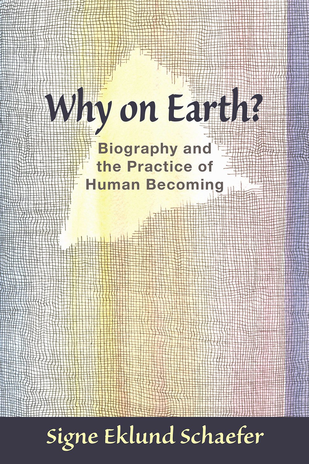 Cover image for Why on Earth?, isbn: 9781621480402