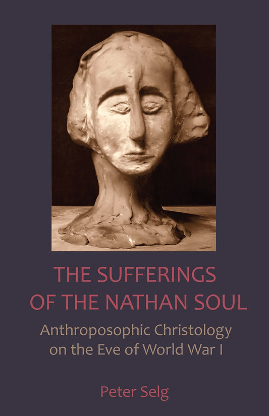 Cover image for The Sufferings of the Nathan Soul, isbn: 9781621481508