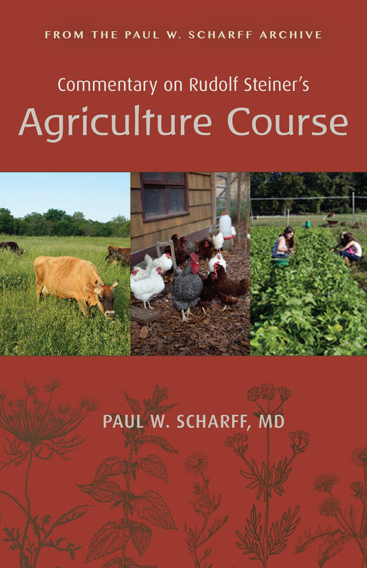 Cover image for Commentary on Rudolf Steiner's Agriculture Course, isbn: 9781621482376