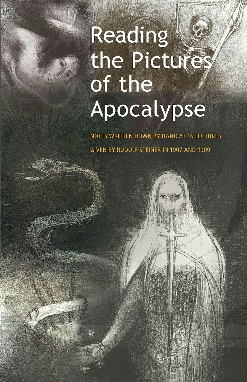 Cover image for Reading the Pictures of the Apocalypse, isbn: 9781621482581