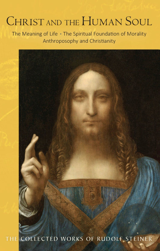 Cover image for Christ and the Human Soul, isbn: 9781621483205