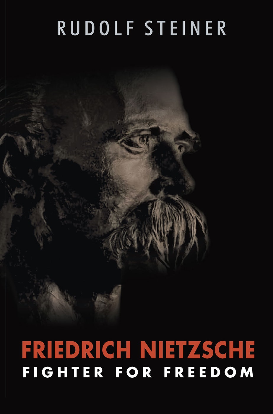 Cover image for Friedrich Nietzsche, isbn: 9781621483380