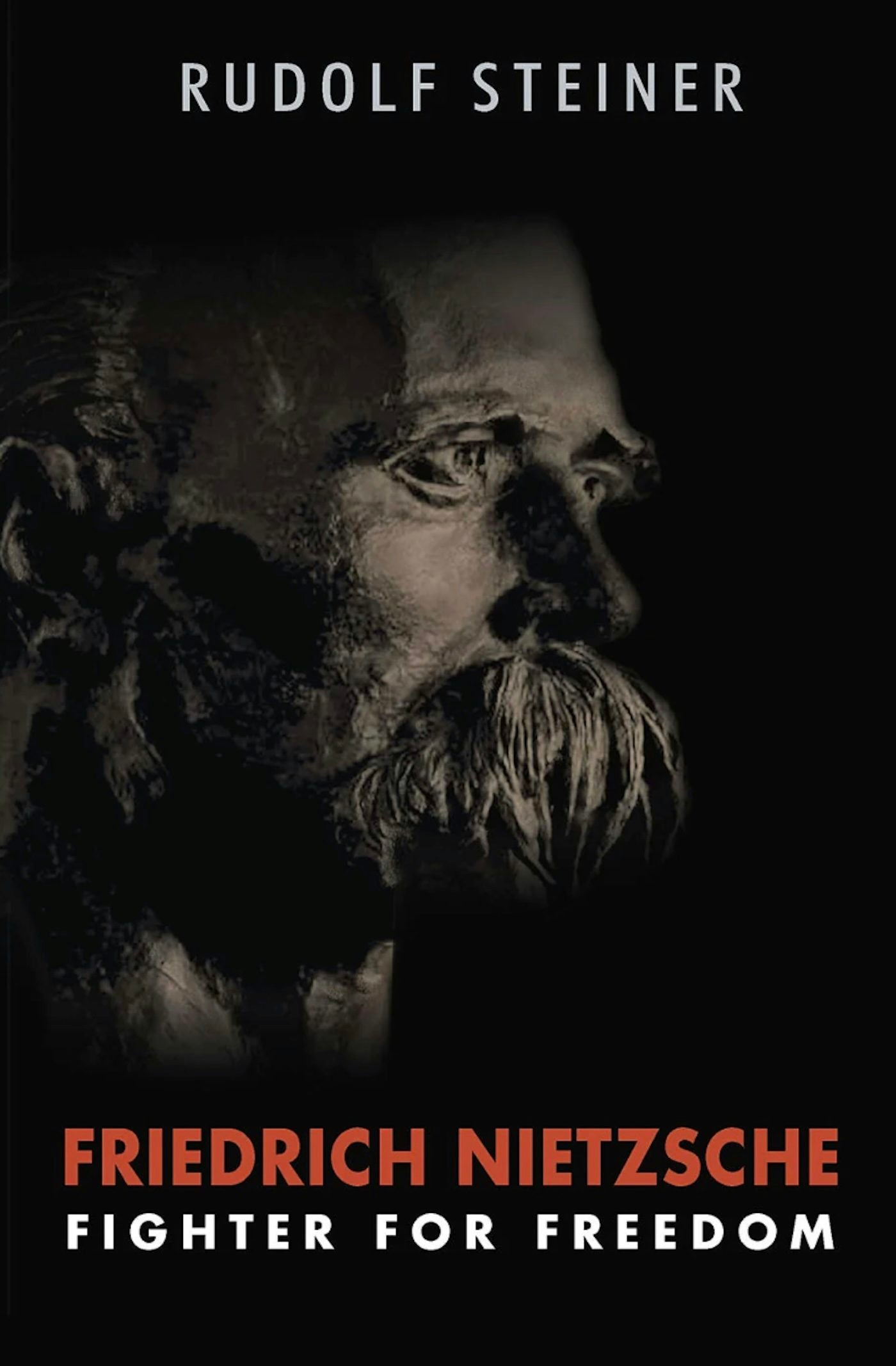 Cover image for Friedrich Nietzsche, isbn: 9781621483397