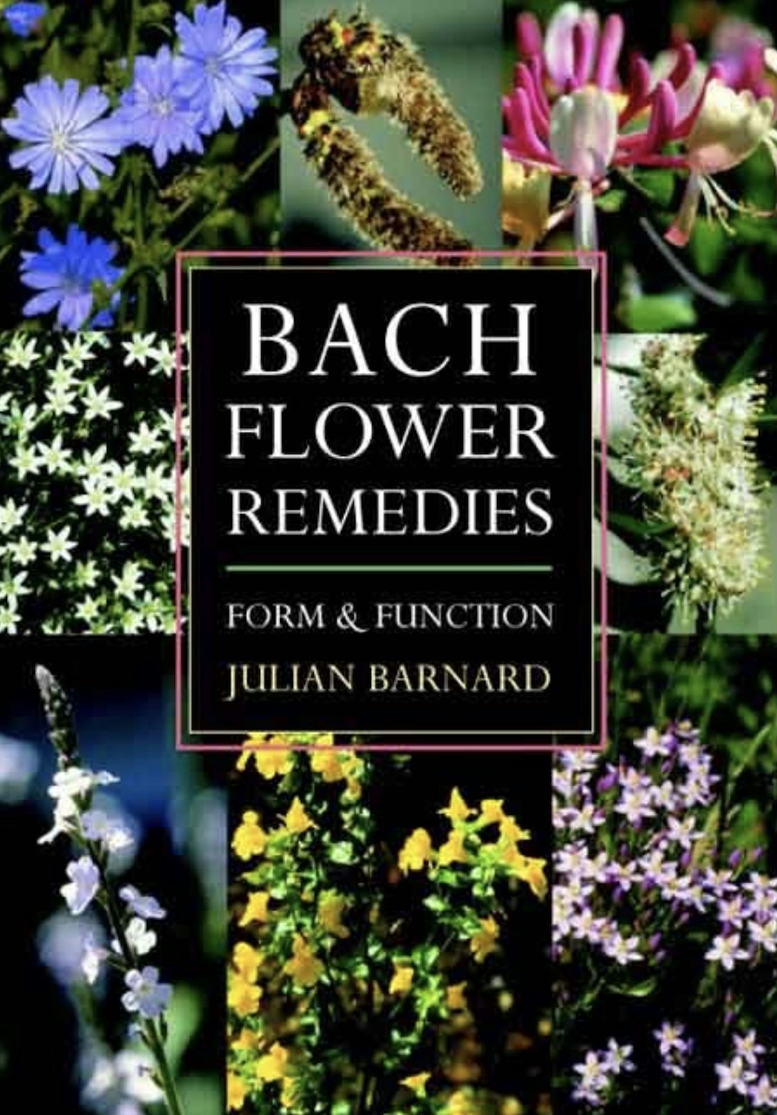 Cover image for Bach Flower Remedies Form and Function, isbn: 9781621510116