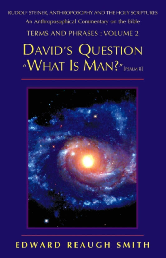 Cover image for David's Question, isbn: 9781621510123