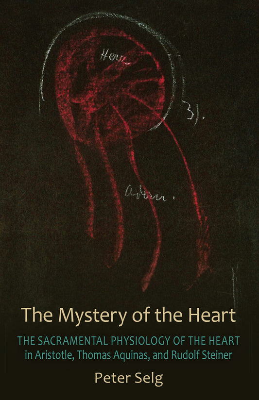 Cover image for The Mystery of the Heart, isbn: 9781621511243