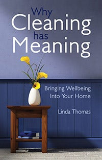 Cover image for Why Cleaning Has Meaning, isbn: 9781782500506