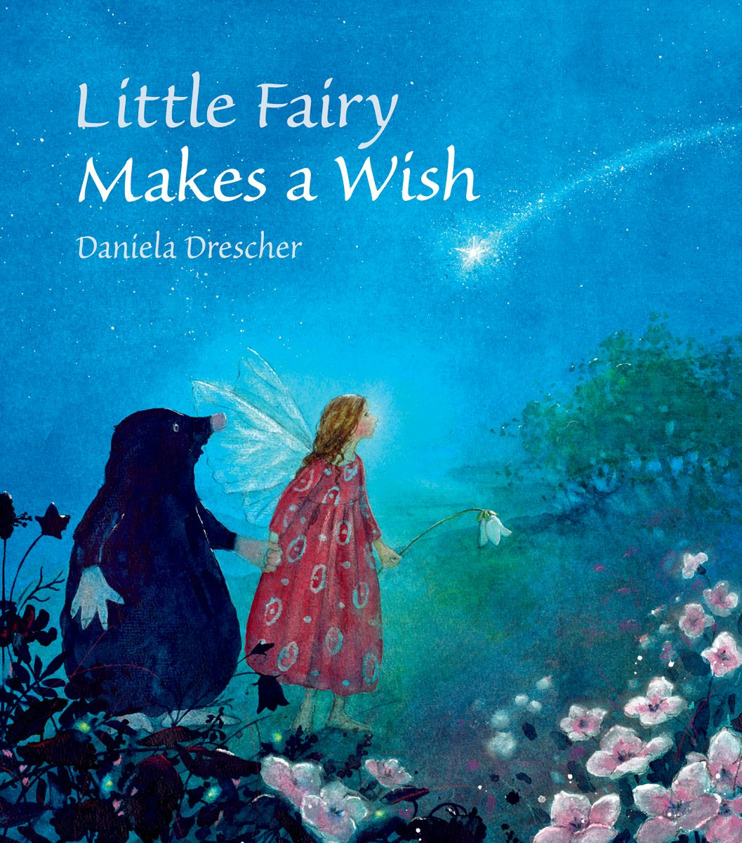 Cover image for Little Fairy Makes a Wish, isbn: 9781782502432