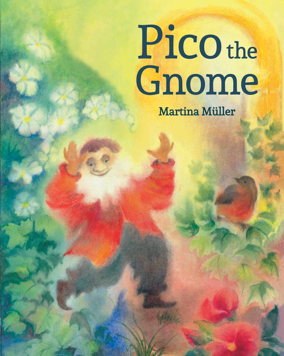 Cover image for Pico the Gnome, isbn: 9781782503293