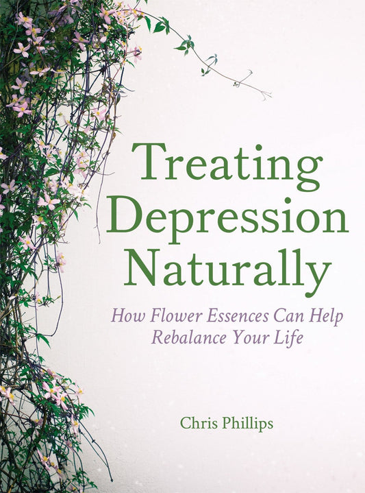 Cover image for Treating Depression Naturally, isbn: 9781782504276