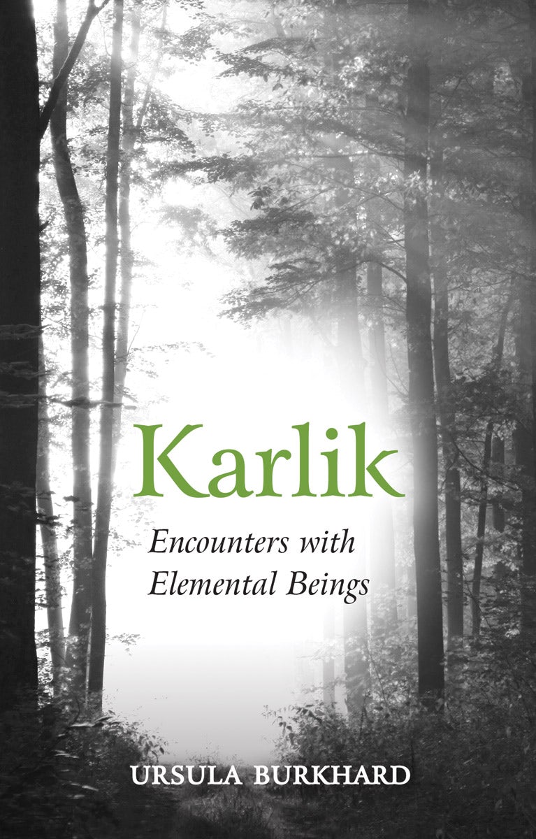 Cover image for Karlik, isbn: 9781782504443