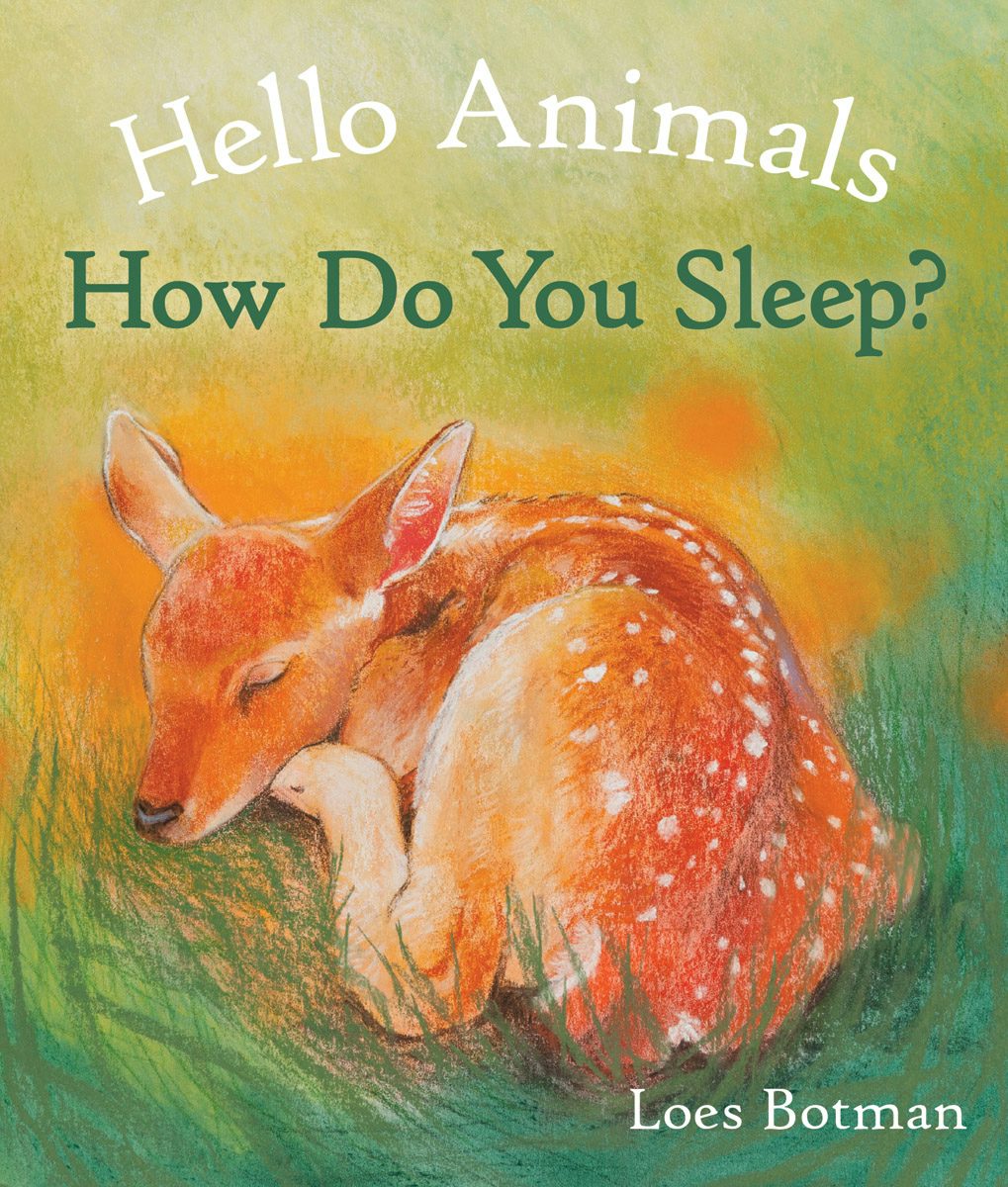 Cover image for Hello Animals, How Do You Sleep?, isbn: 9781782505518