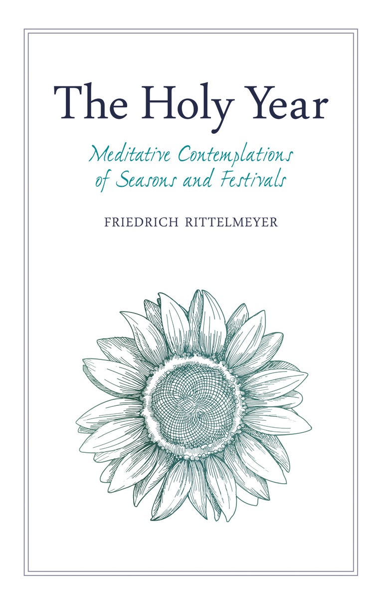 Cover image for The Holy Year, isbn: 9781782505525