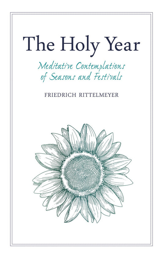 Cover image for The Holy Year, isbn: 9781782505525