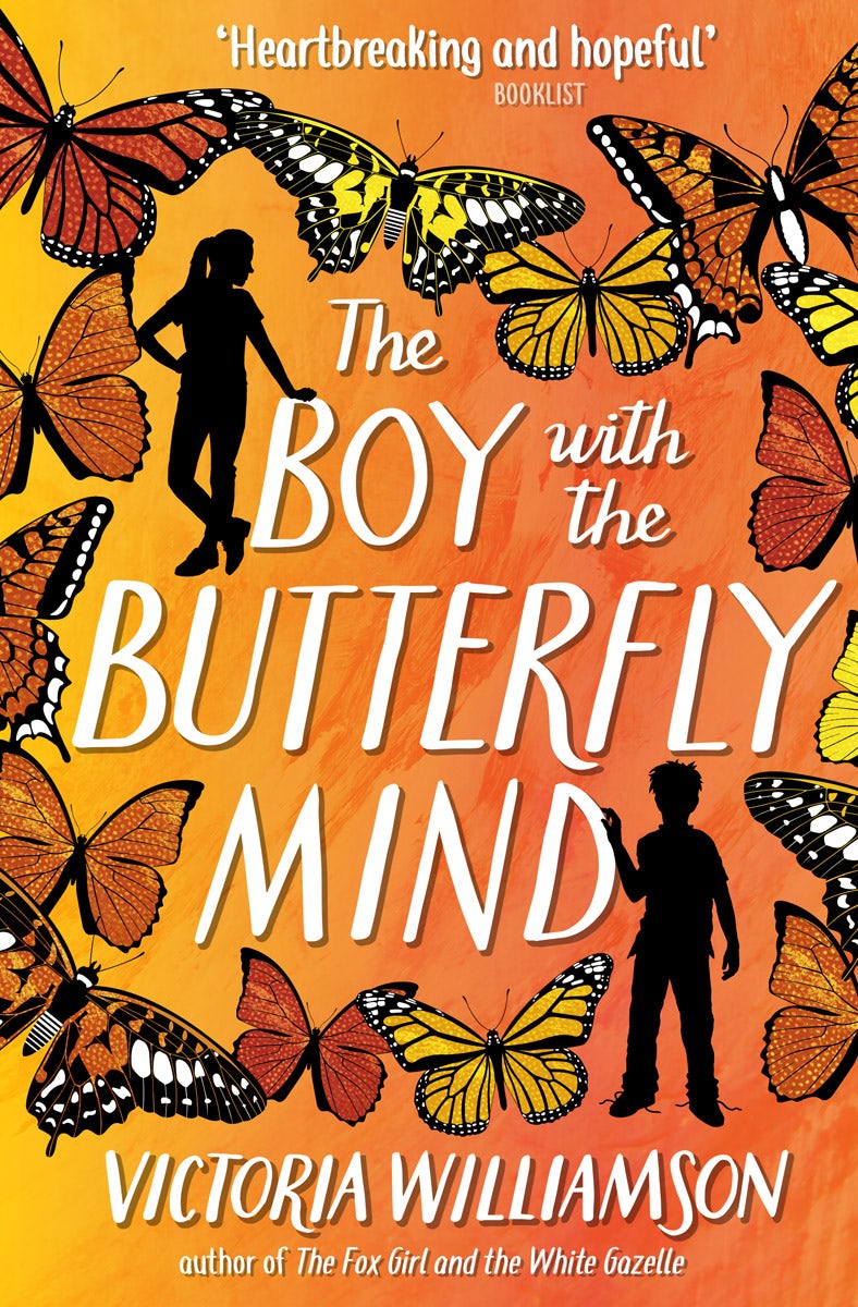 Cover image for The Boy with the Butterfly Mind, isbn: 9781782506003