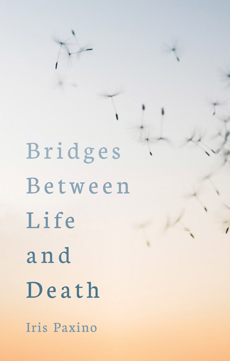 Cover image for Bridges between Life and Death, isbn: 9781782506454