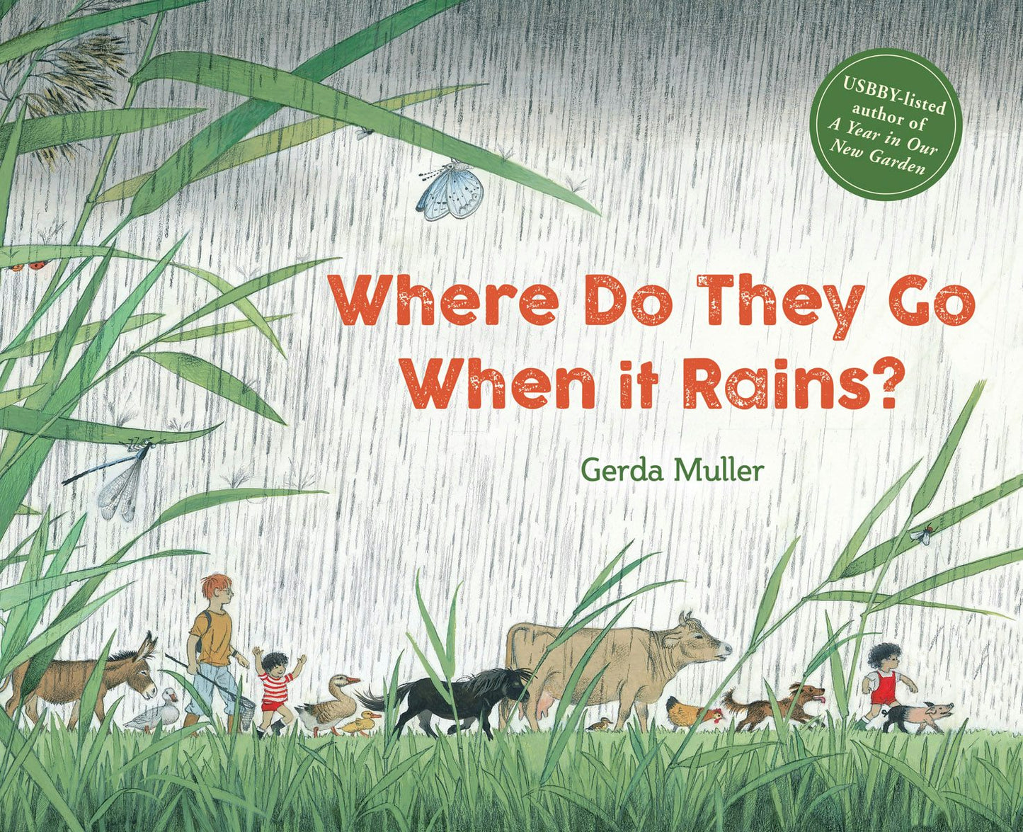 Cover image for Where Do They Go when It Rains?, isbn: 9781782506874