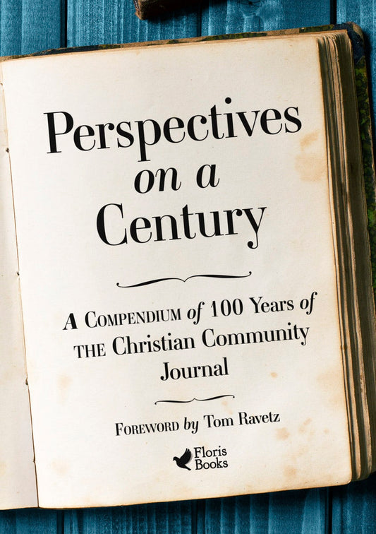 Cover image for Perspectives on a Century, isbn: 9781782507888