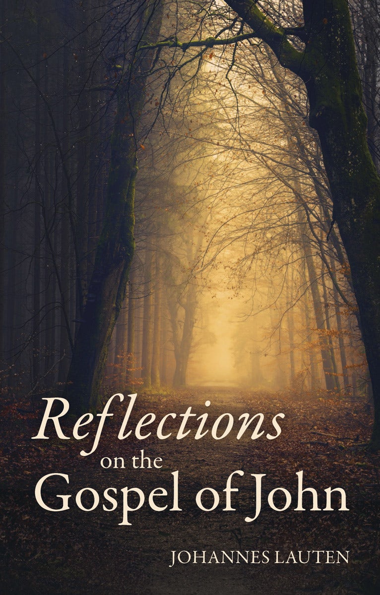 Cover image for Reflections on the Gospel of John, isbn: 9781782507918