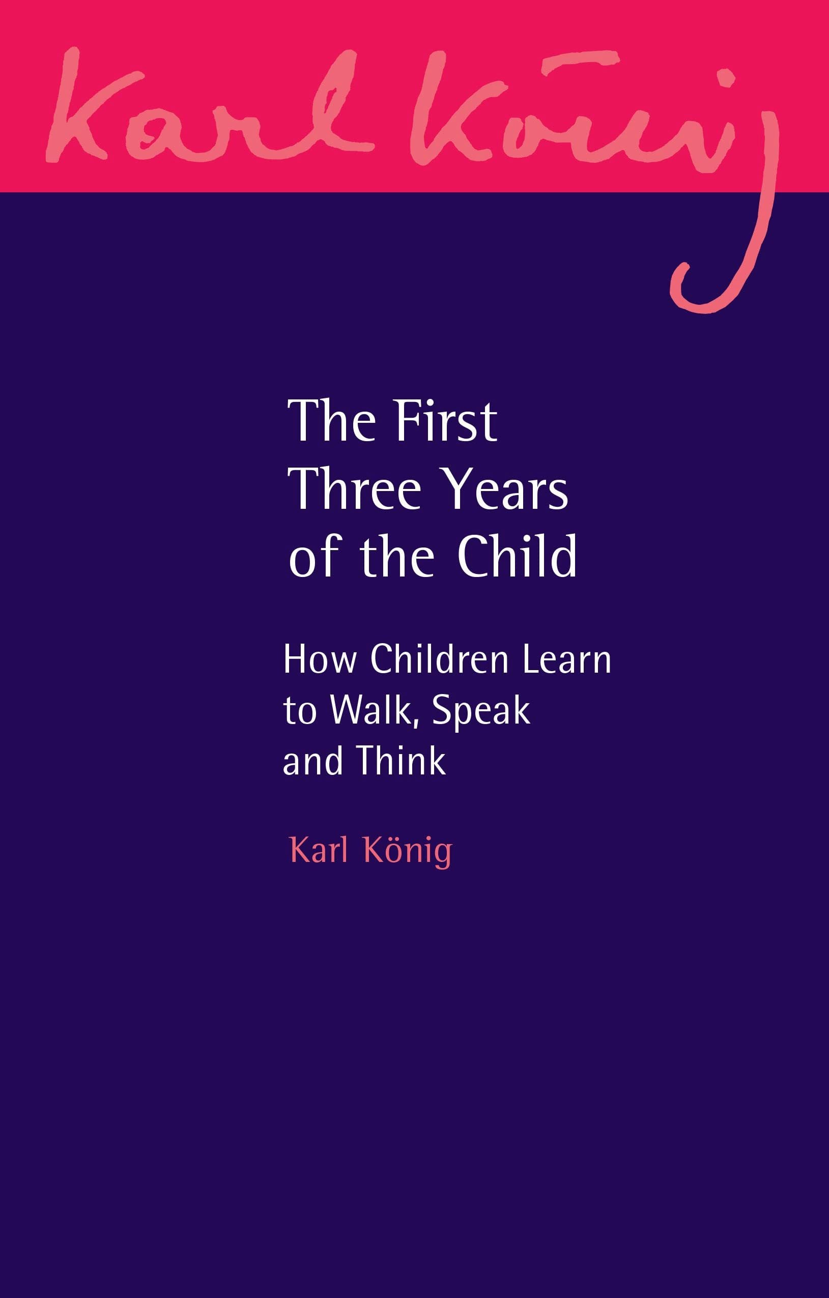 Cover image for The First Three Years of the Child, isbn: 9781782508472