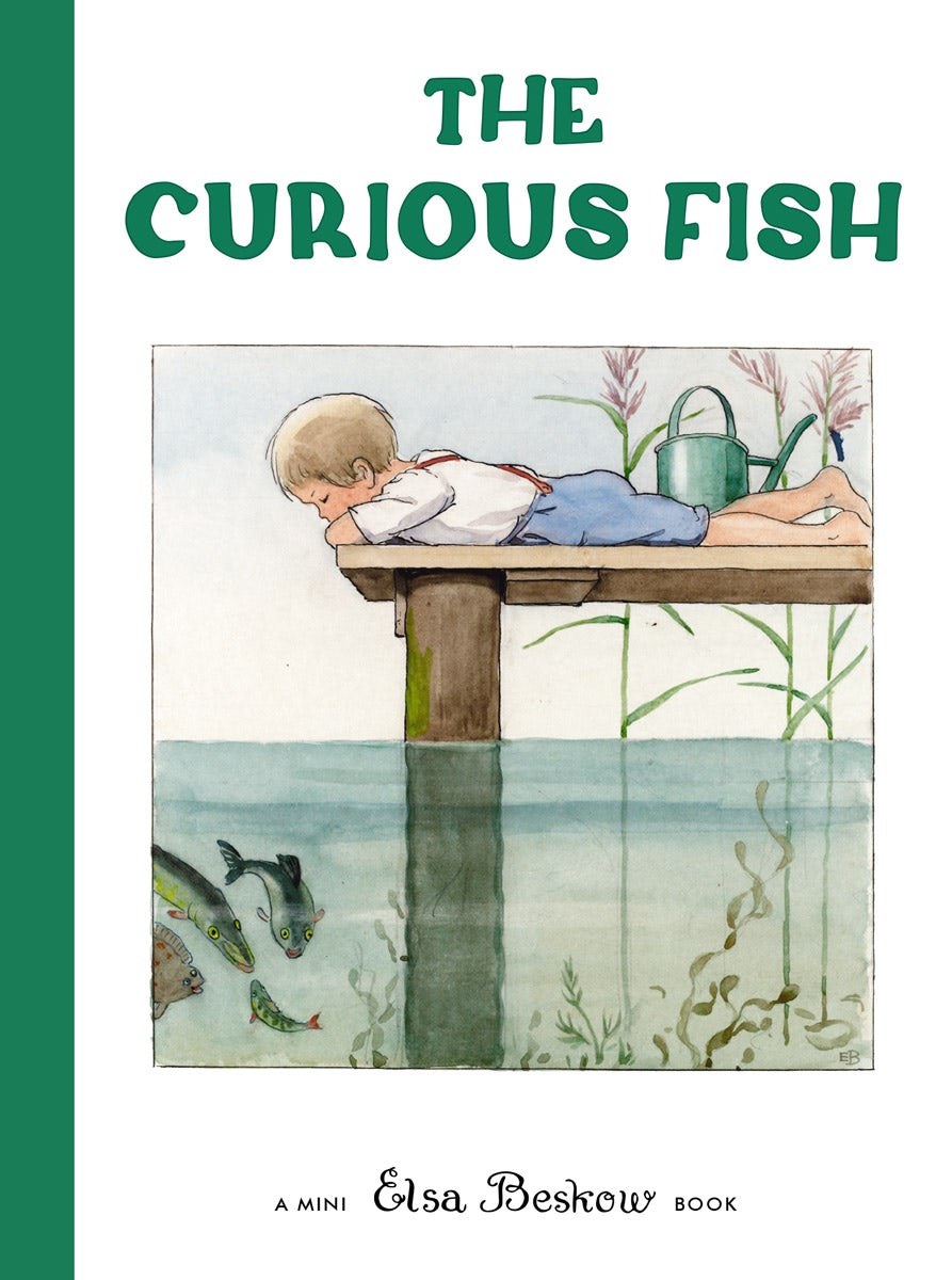 Cover image for The Curious Fish, isbn: 9781782508885