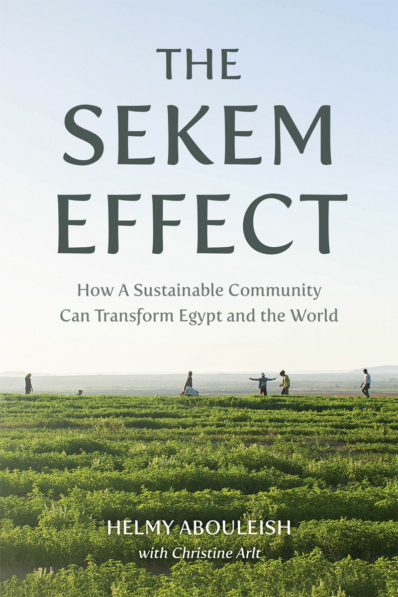 Cover image for The Sekem Effect, isbn: 9781782509431