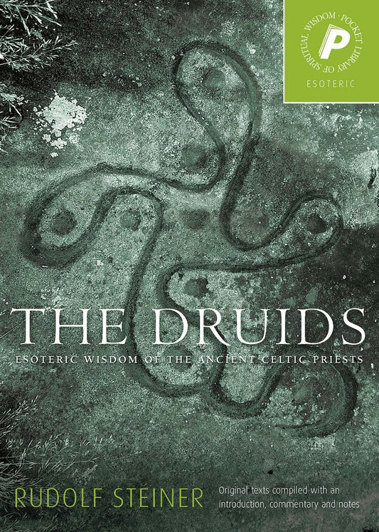 Cover image for The Druids, isbn: 9781855840997