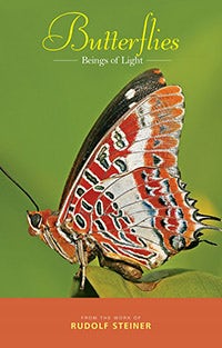 Cover image for Butterflies, isbn: 9781855843752