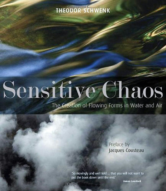 Cover image for Sensitive Chaos, isbn: 9781855843943