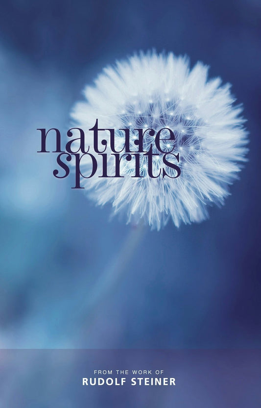 Cover image for Nature Spirits, isbn: 9781855845305