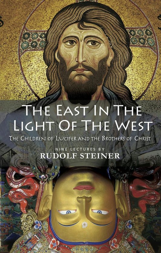 Cover image for The East in the Light of the West, isbn: 9781855845398