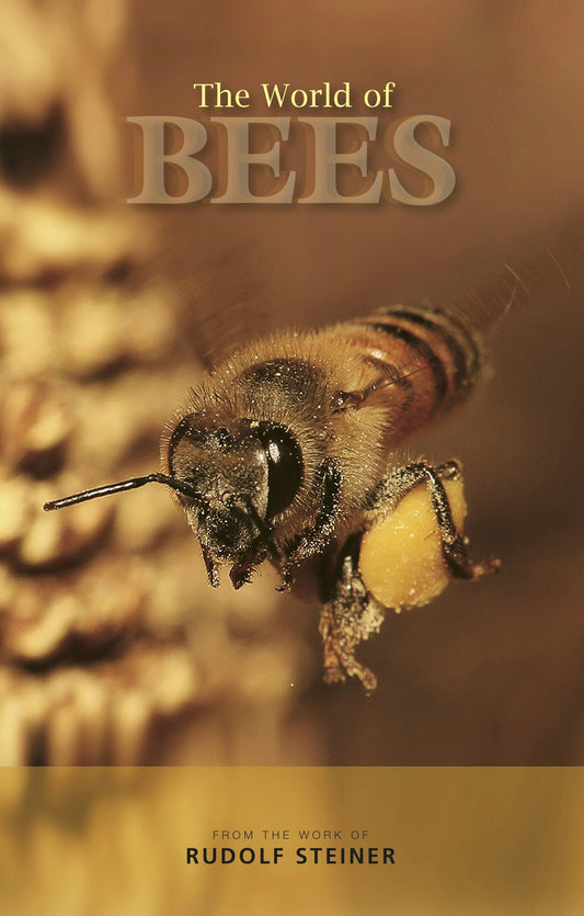 Cover image for The World of Bees, isbn: 9781855845404