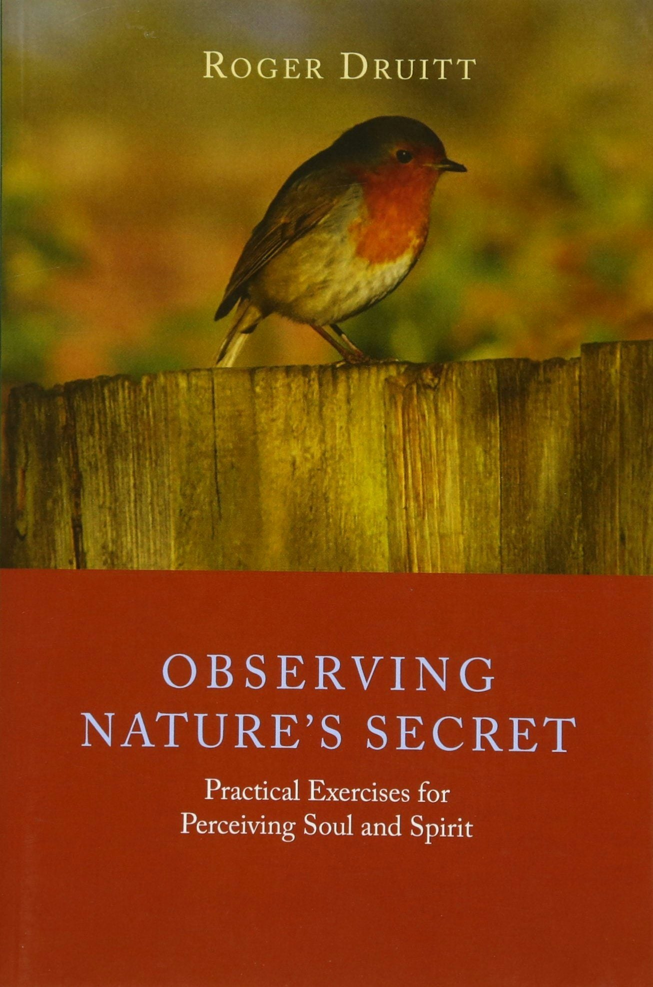 Cover image for Observing Nature’s Secret, isbn: 9781855845466