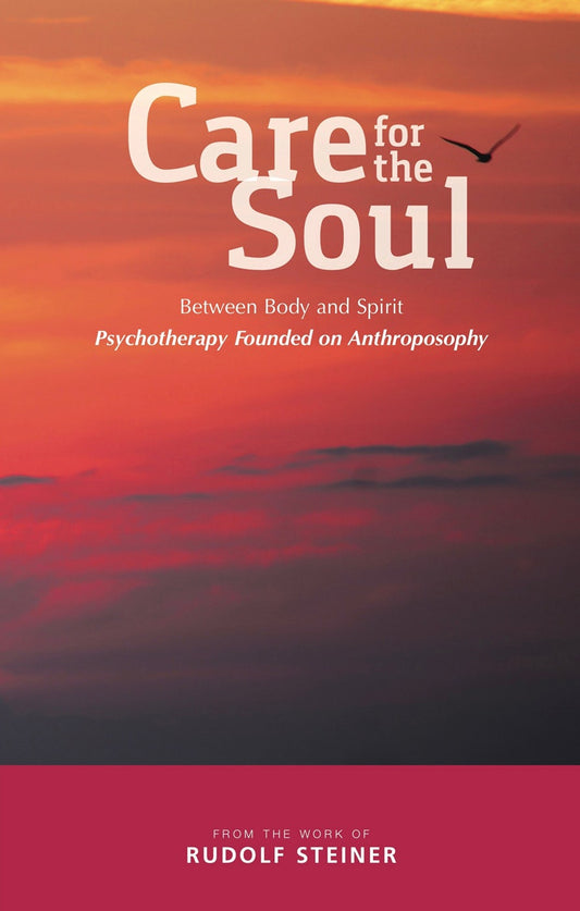 Cover image for Care for the Soul, isbn: 9781855845633