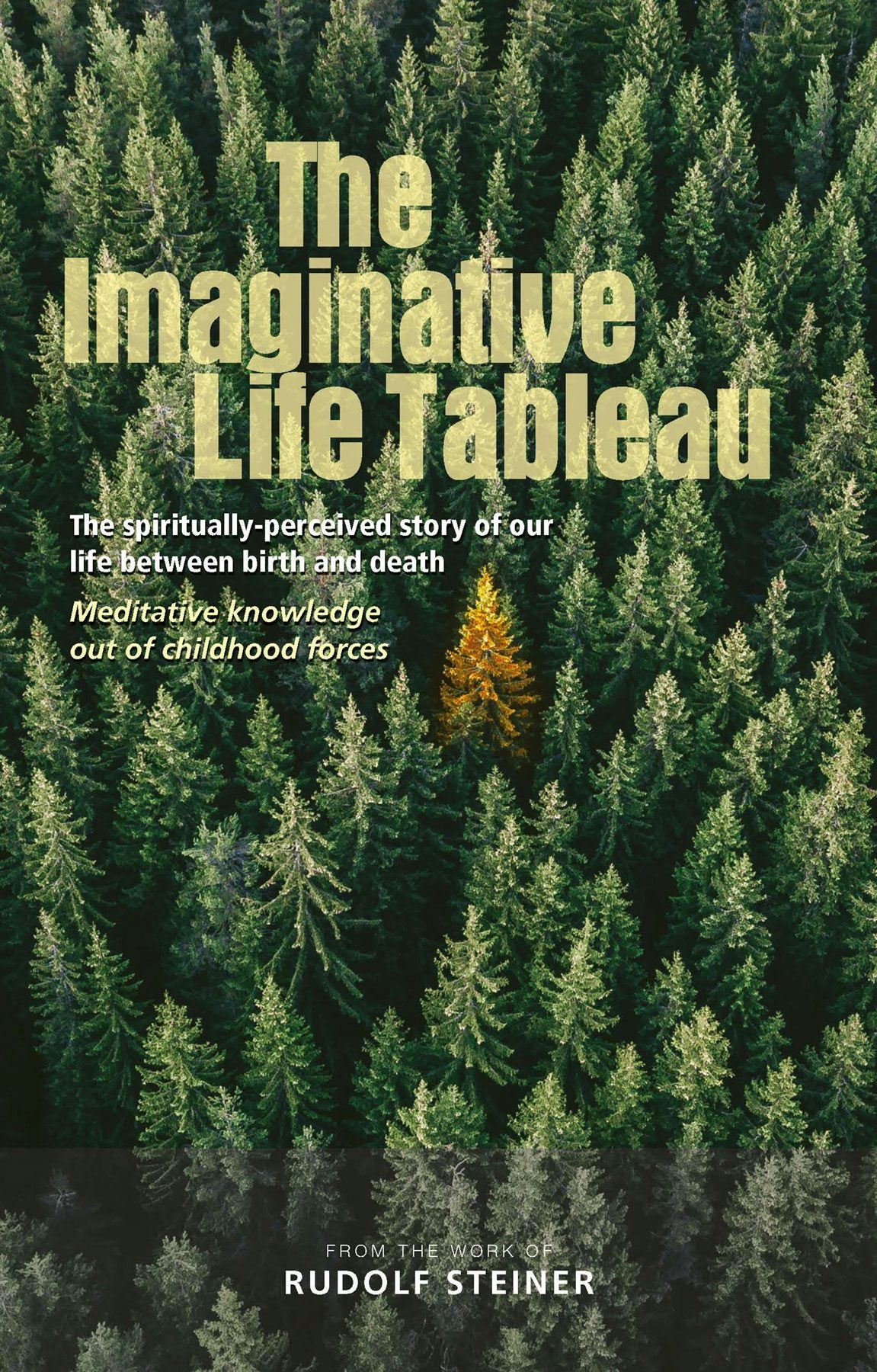 Cover image for The Imaginative Life Tableau, isbn: 9781855845725