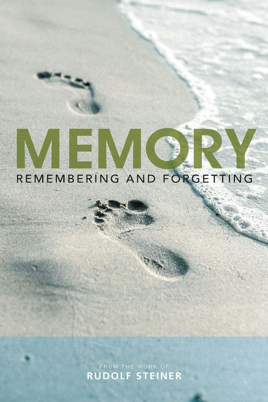 Cover image for Memory, isbn: 9781855845749