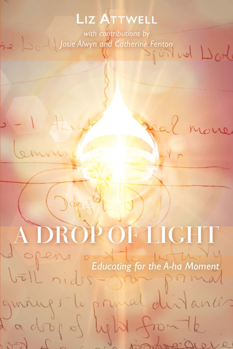 Cover image for A Drop of Light, isbn: 9781855845756