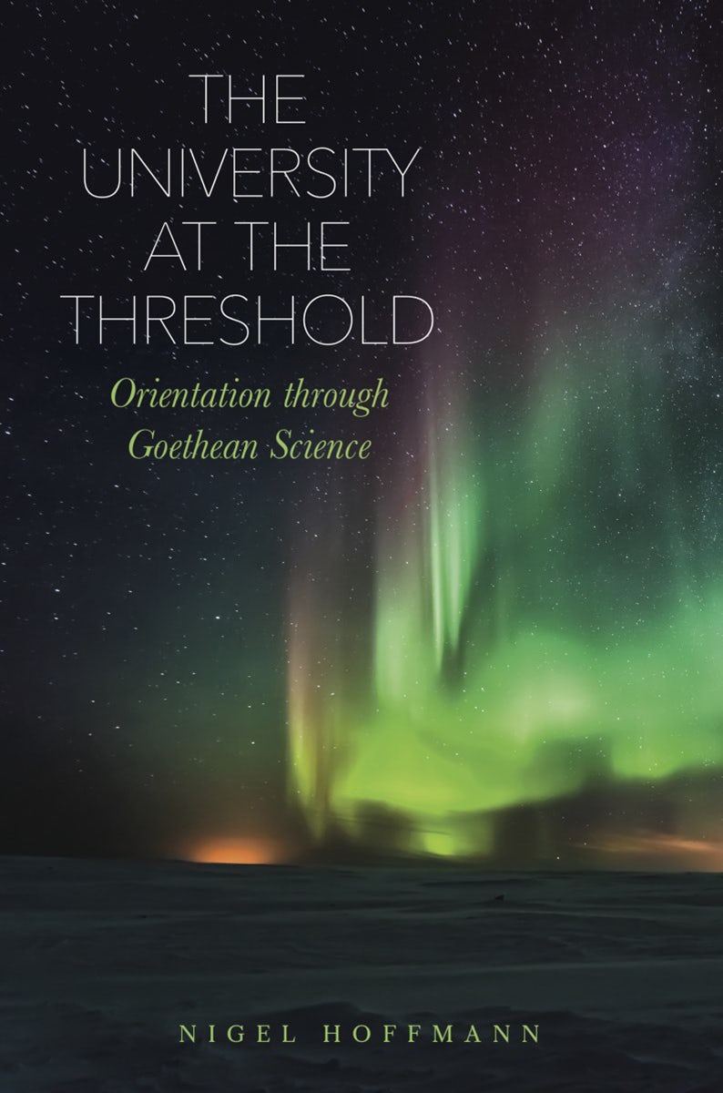 Cover image for The University at the Threshold, isbn: 9781855845831