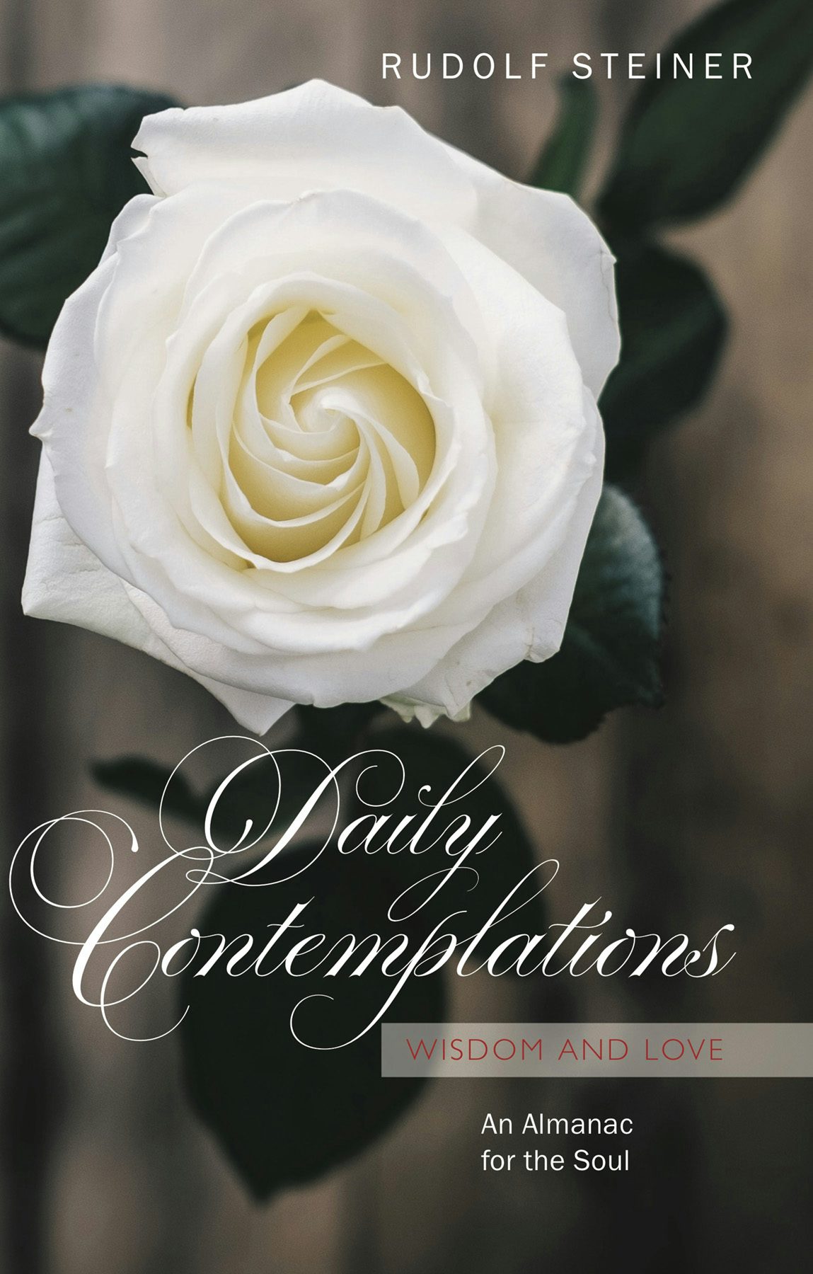 Cover image for Daily Contemplations, isbn: 9781855845909