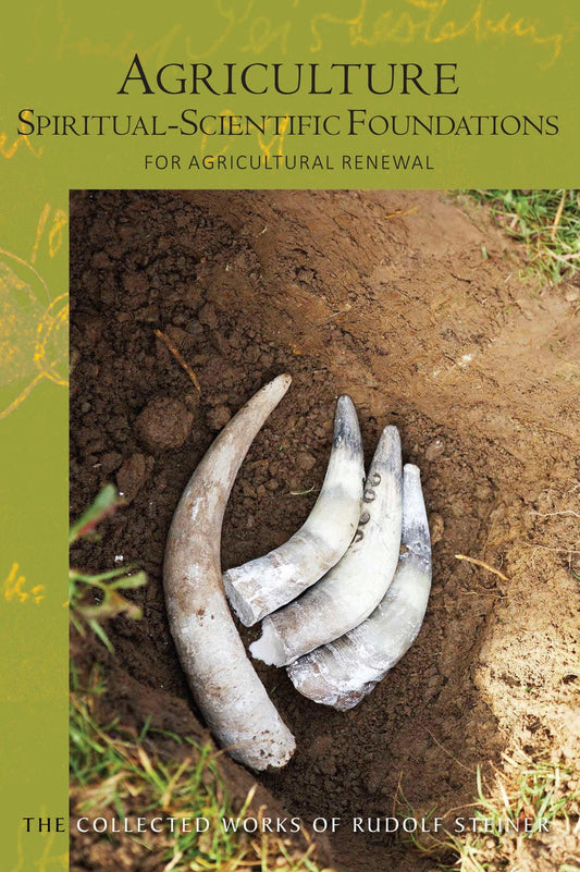 Cover image for Agriculture, isbn: 9781855846661