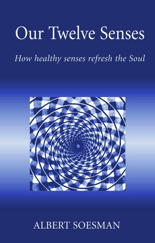 Cover image for Our Twelve Senses, isbn: 9781869890759