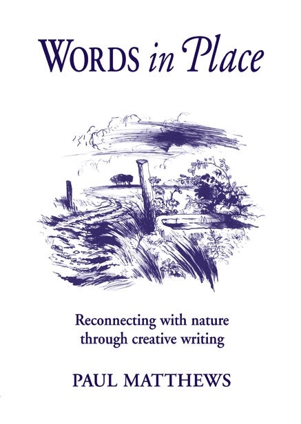 Cover image for Words in Place, isbn: 9781903458693