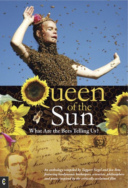 Cover image for Queen of the Sun, isbn: 9781905570348