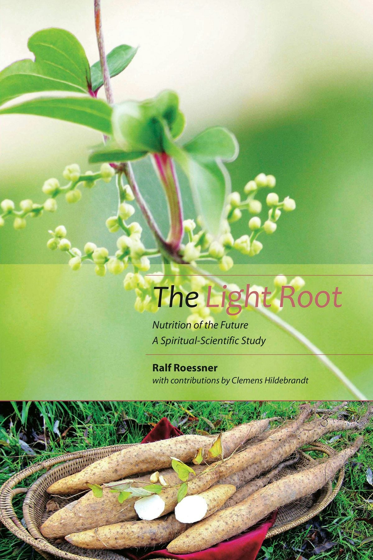 Cover image for The Light Root, isbn: 9781906999636