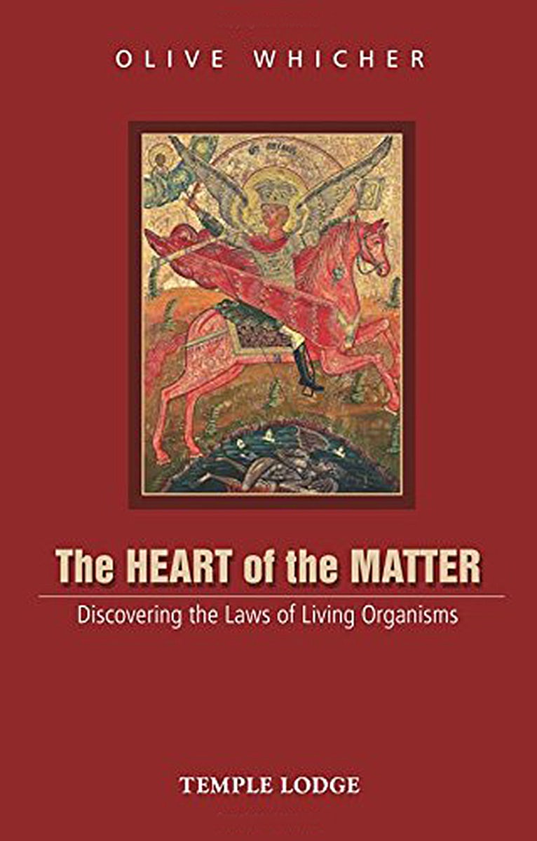 Cover image for The Heart of the Matter, isbn: 9781906999834