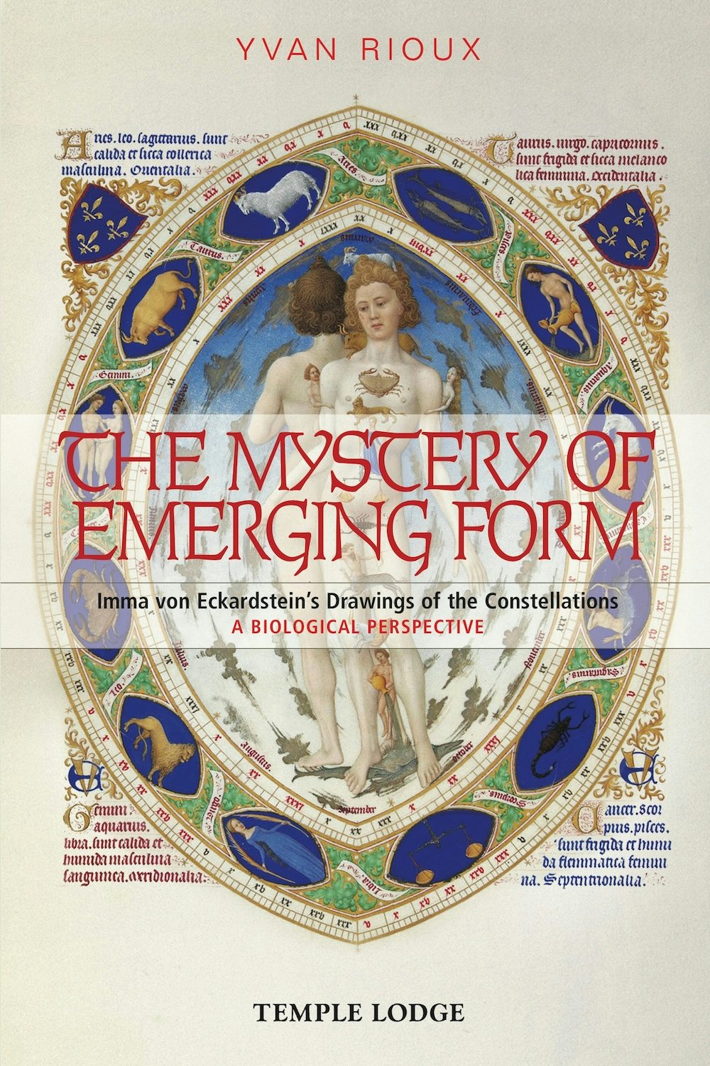 Cover image for The Mystery of Emerging Form, isbn: 9781912230020