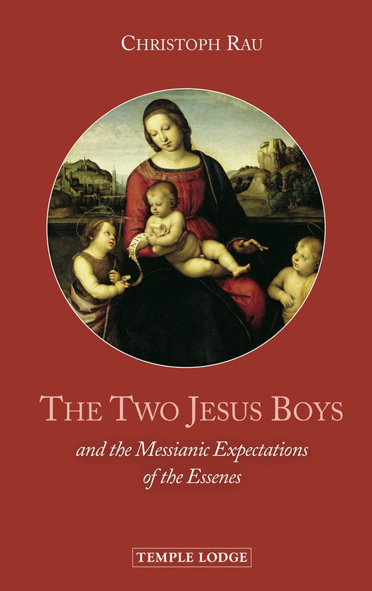 Cover image for The Two Jesus Boys, isbn: 9781912230273