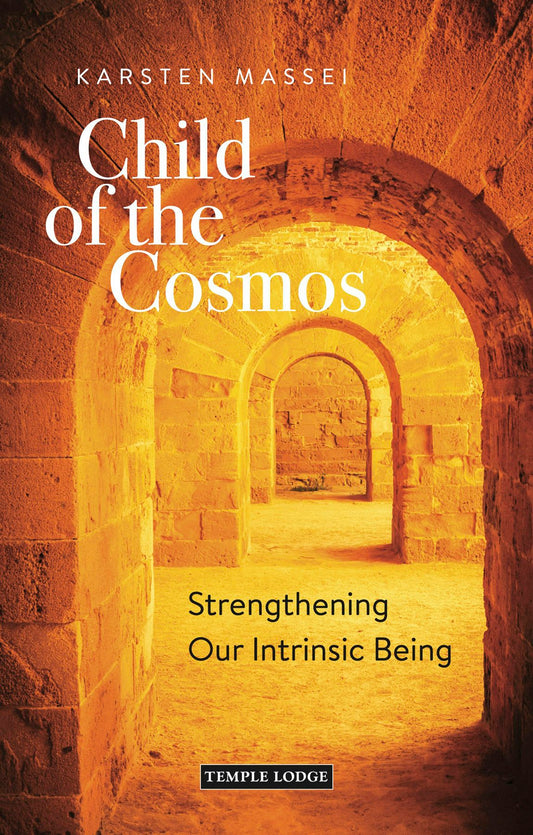 Cover image for Child of the Cosmos, isbn: 9781912230907