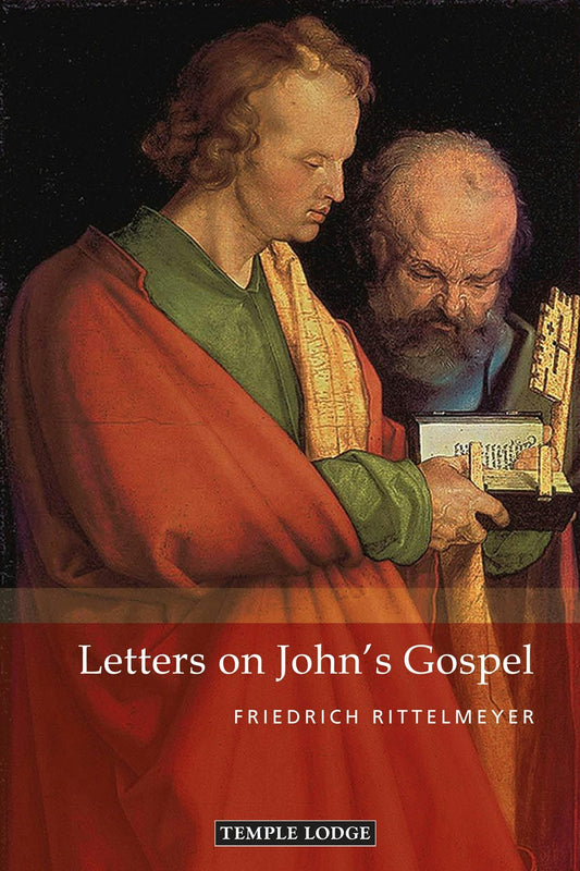 Cover image for Letters on John's Gospel, isbn: 9781912230969